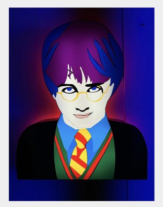 Marco Lodola | Harry Potter