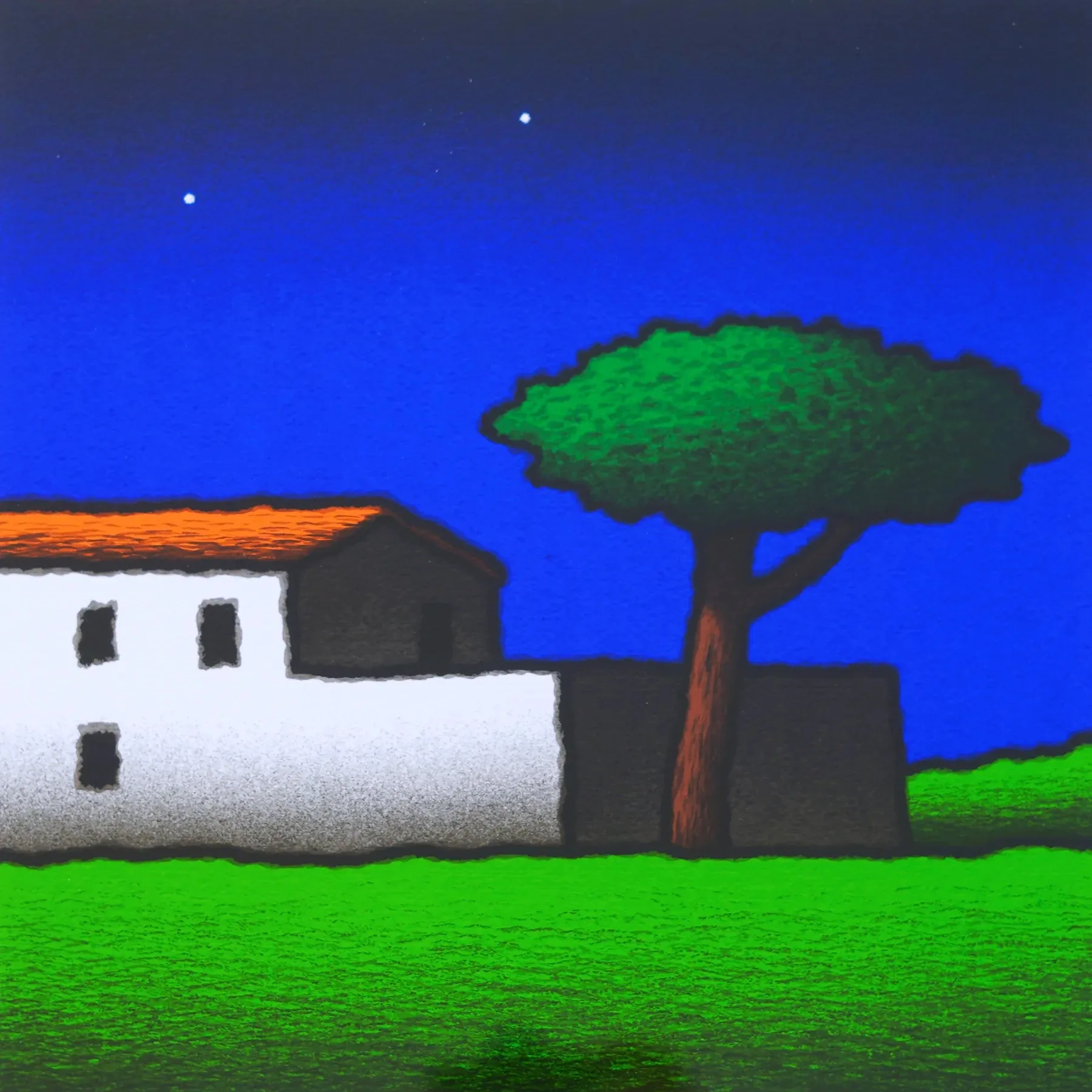 Tino Stefanoni | Casolare con pino - immagine 2